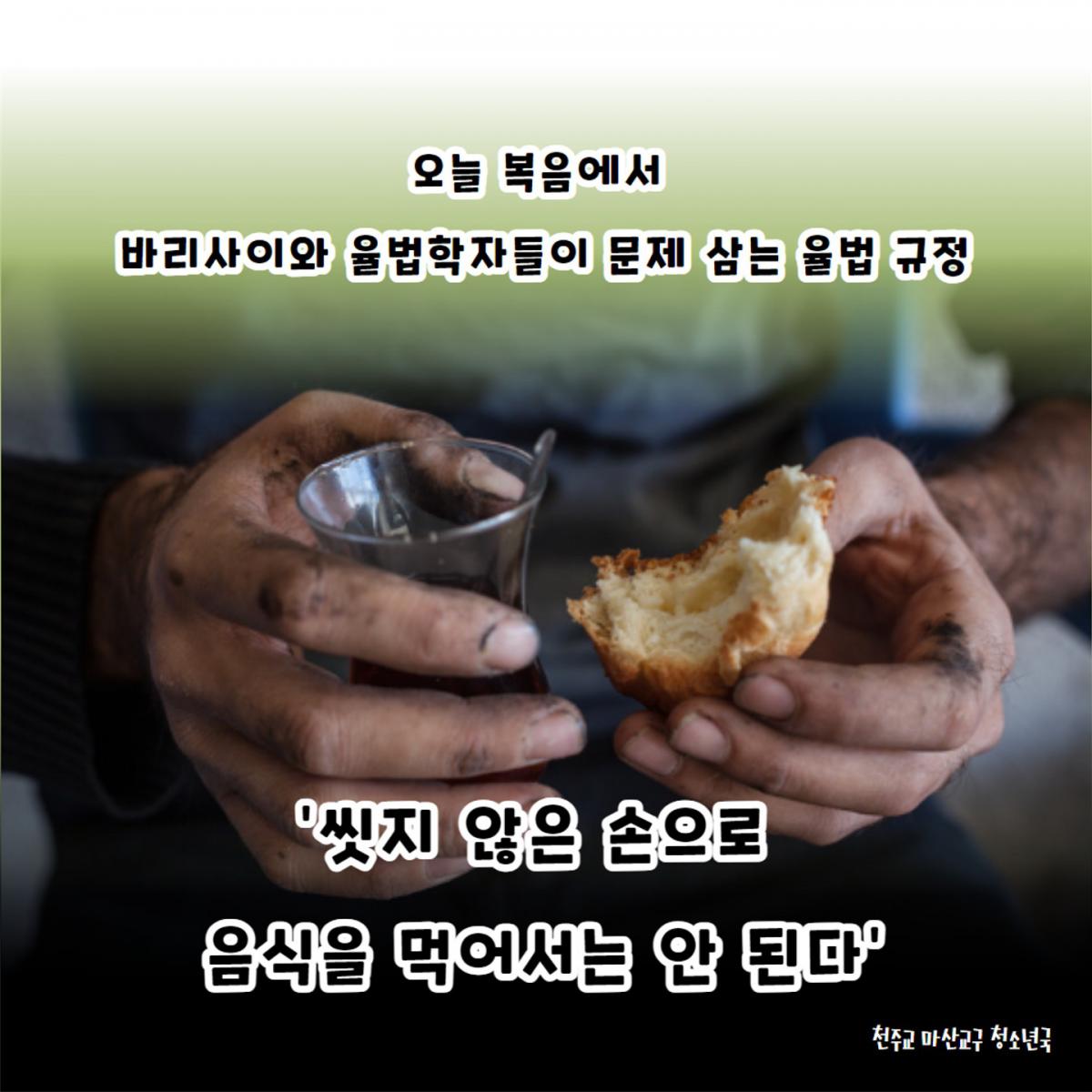 연중 제22주일(피조물 보호를 위한 기도의 날)_2.jpg